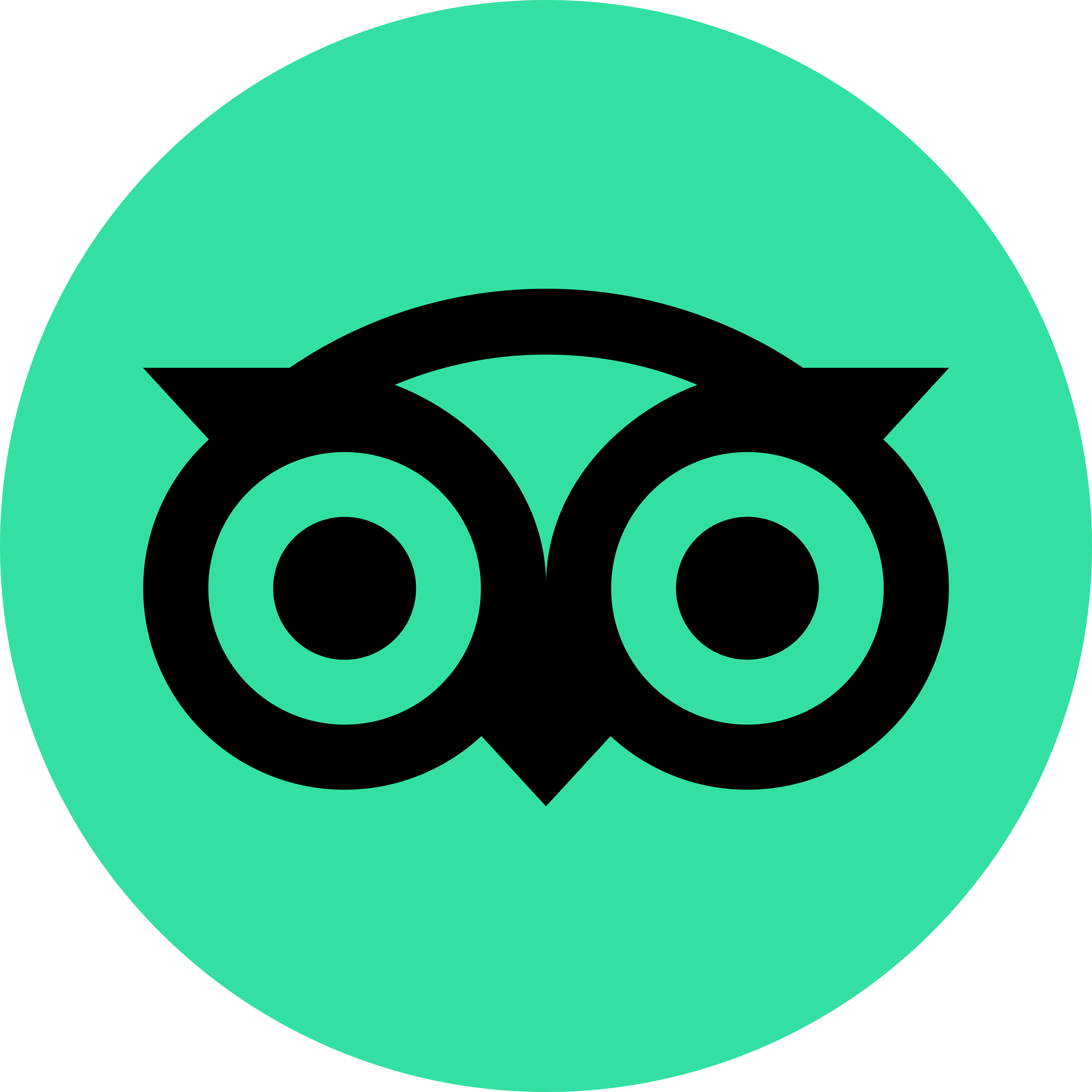 Trip Advisor Logo - Galagents