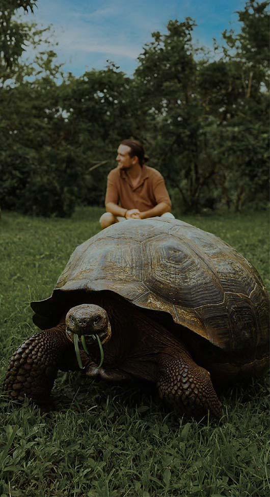 Create unique experiences with the Galapagos tortoises