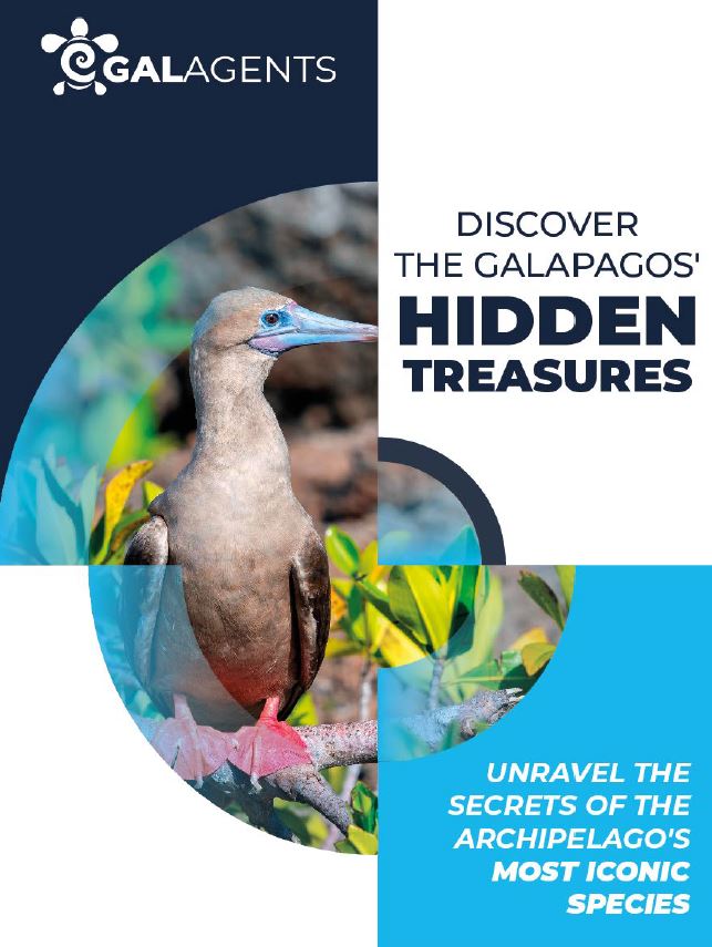 Pdf Discover the Galapagos Hidden