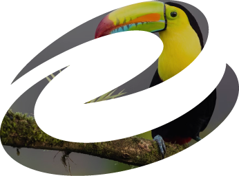 Logo Galaxy Expeditions Galapagos