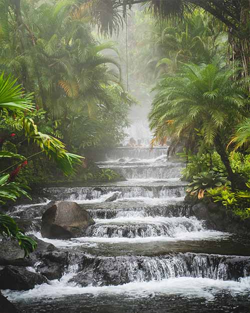 Waterfall in the middle of Corcovado National Park jungle, surrounded by dense vegetation.
