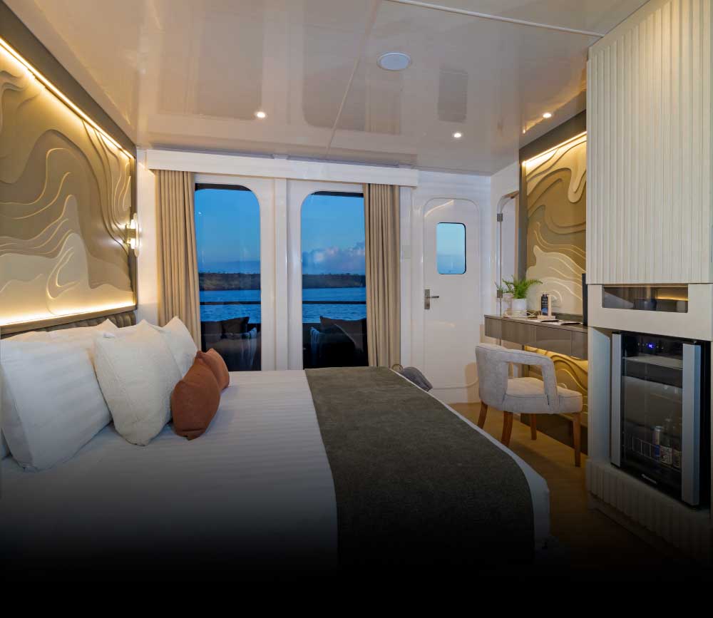 Cozy Accommodations
