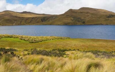 20 interesting facts about Latin America