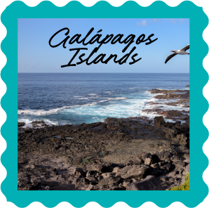 traveling-important-for-health-galapagos-islands Things you should know when you travel to Latin America Galapagos Islands