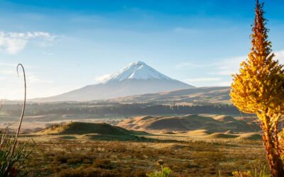 Things you should know when you travel to Latin America.