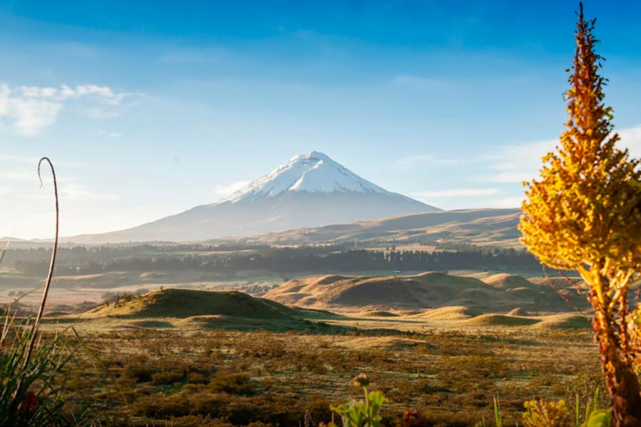 Things you should know when you travel to Latin America.