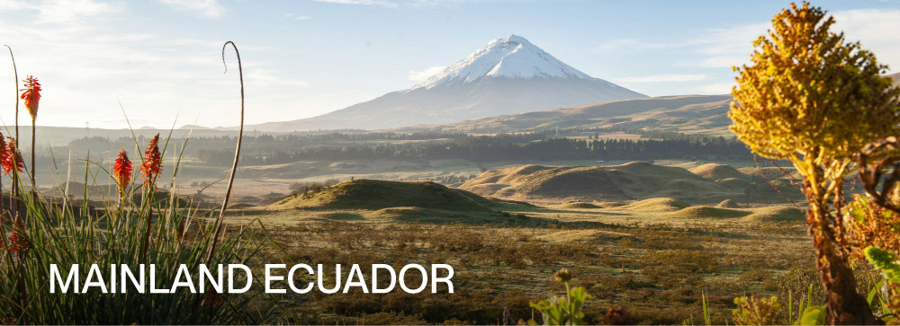 traveling-important-for-health-maindland-cotopaxy-ecuador Things you should know when you travel to Latin America Maindland Cotopaxy Ecuador