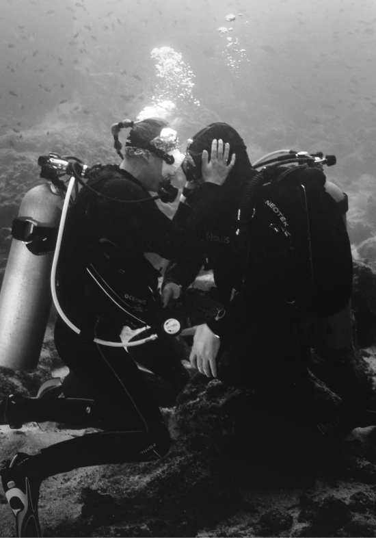 An intrepid and romantic marriage proposal in the Galapagos deep Divers couple Picture