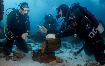 An intrepid and romantic marriage proposal in the Galapagos deep