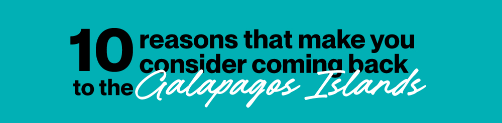 Title Banner: Reasons to return to the Galapagos Islands