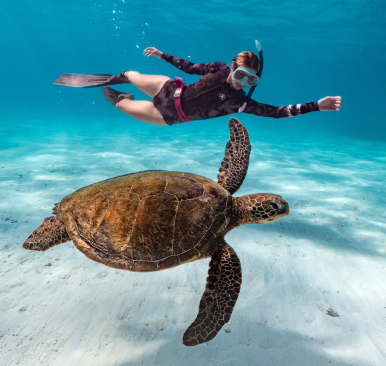 Turtle swimming alongside diver: Reasons to return to the Galapagos Islands