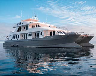 Galaxy Diver Cruise