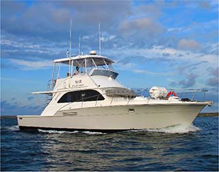 Bonita Cruise