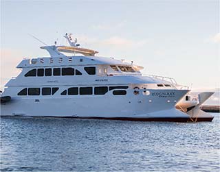 Alya Cruise