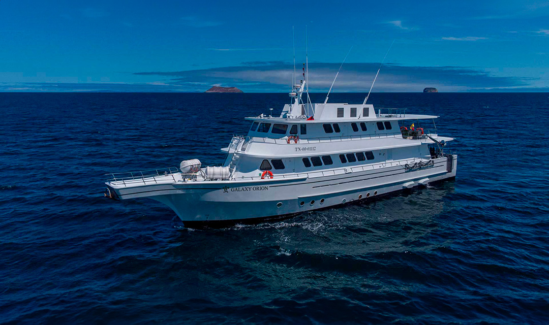 orion.alt36